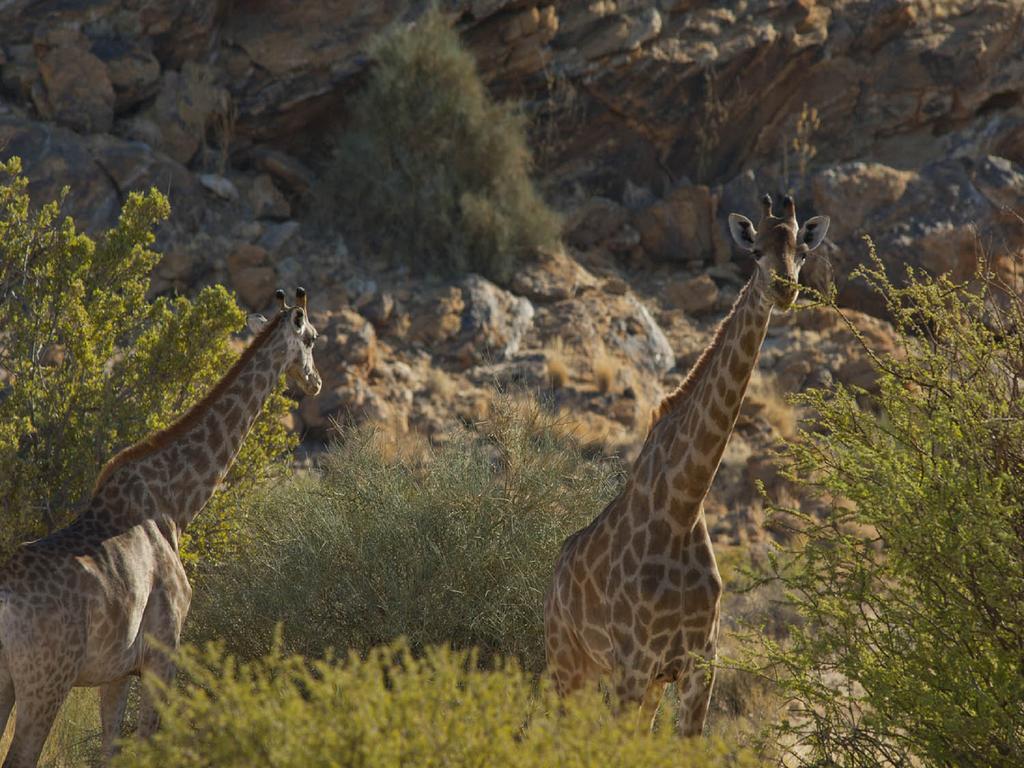Tutwa Desert Lodge Augrabies Buitenkant foto