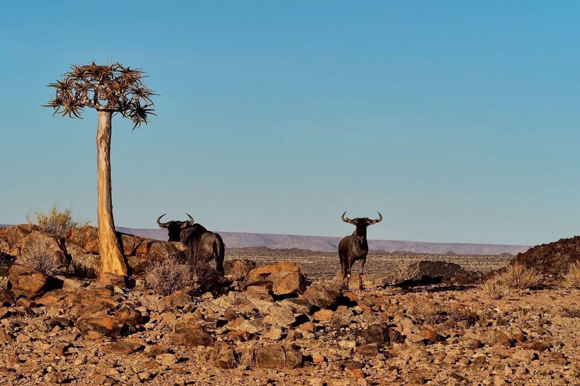 Tutwa Desert Lodge Augrabies Buitenkant foto